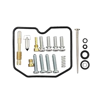 カリン　0430 Amazon.com: SecosAutoparts 2Pcs Carburetor Carb Repair Kit
